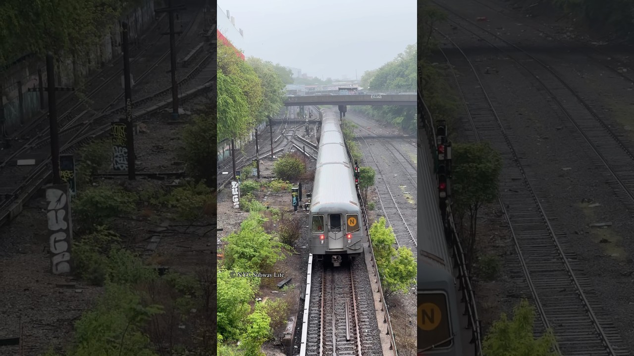 The Sea Beach Line Portal 🌧️🌧️