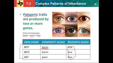 7.2: complex patterns of inheritance
