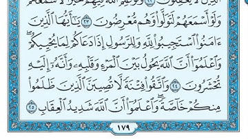 سعد الغامدی سورة الانفال 8 - تەفسیری كوردی سورەتی الانفال بەدەنگی هەندرێن - Tafseri Surat Al-Anfal