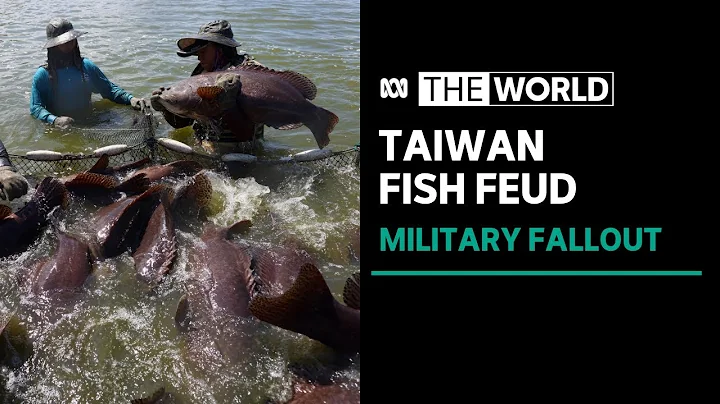 Taiwanese fish farmers feel impact of Chinese trading ban | The World - DayDayNews