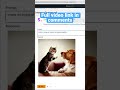 Amazon Bedrock:Explore Generative AI