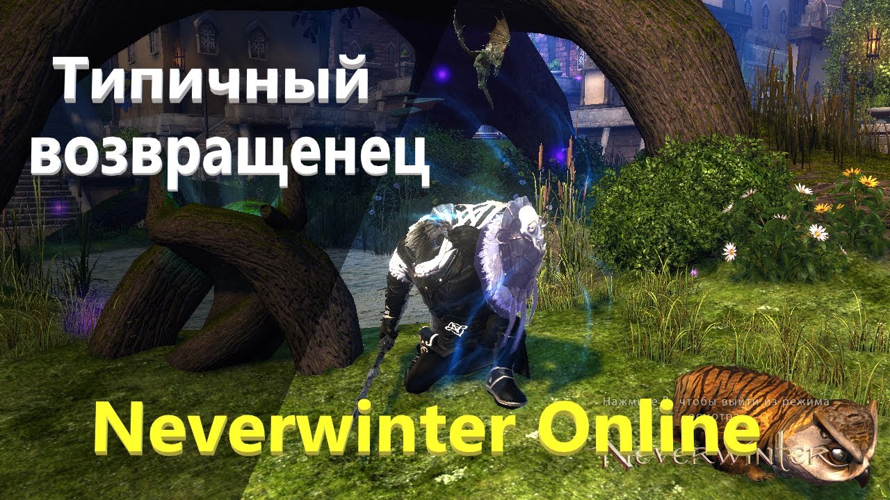 Типичный возвращенец Neverwinter Online
