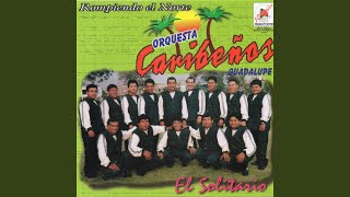 Video thumbnail of "Orquesta Caribeños de Guadalupe - Dile La Verdad"