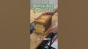 Bonsai Box (Part 2)! Do you spot the new Shinto Rasp 👀 #dovetail #woodworking