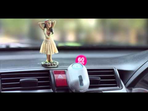 hula girl in car