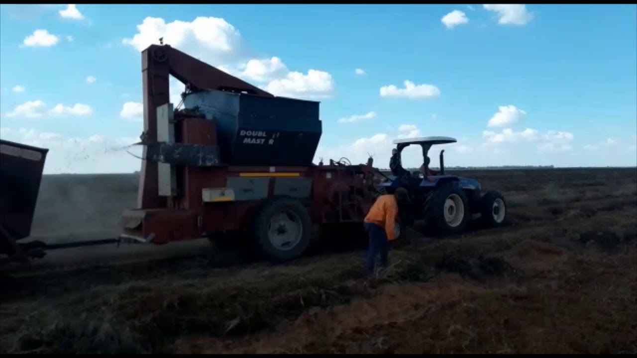 Farming Peanuts In South Africa YouTube farming-peanuts-in-south-africa-youtube