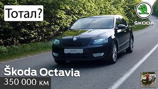 Skoda Octavia с пробегом 350 000 км. Живее всех живых?!