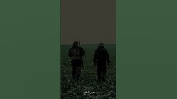سورة الحشر | عبد النافع #قرآن