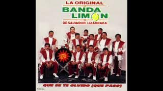 banda el limon con el coyote (puras pa pistear)