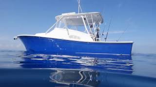 Florida Sportsman Project Dreamboat - Outrageous Paint, One Man's Sportfish