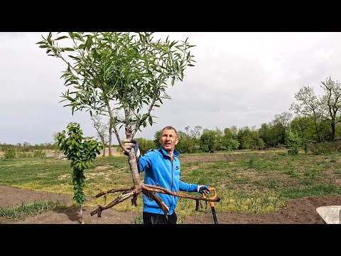 видео: Вы бы точно так не сделали!