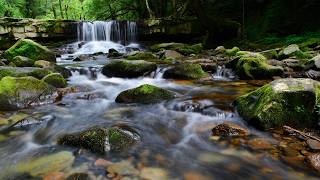 Listen Before Bed 😴 Flowing River Sounds for Deep Sleep (No Music)