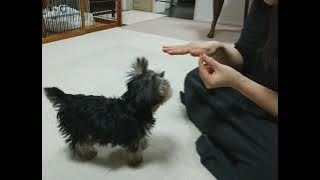 YouCut 20251027 184721375