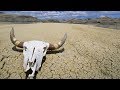 США ДОЛИНА СМЕРТИ/  Death Valley National Park