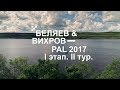Выступление С. Беляева и Д.Вихрова. PAL 2017. Первый этап. II тур - PAL Action Movies