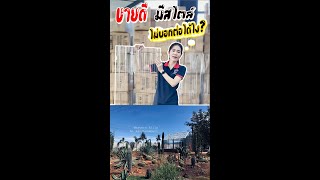 แผ่นโพลีคาร์บอเนต ราคาถูกมากก Ep.2