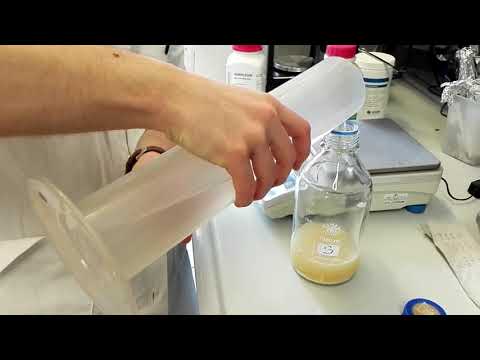 Video: Bacteriophage Pseudomonas Aeruginosis (Pseudomonas Aeruginosa) - Arahan Penggunaan