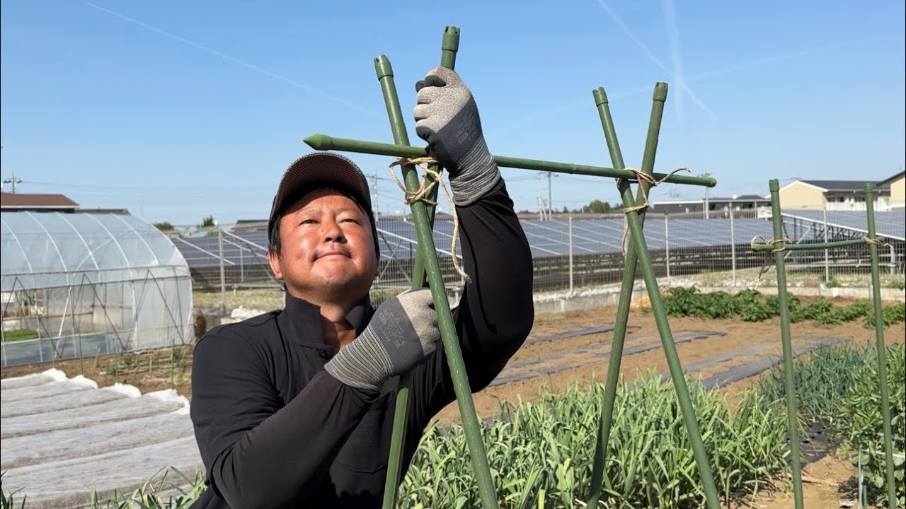 野菜作りは土作りが大切だった！野菜作り【総集編２】26/1/1