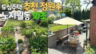 도심주택 추천 정원수 & 번식과 노지월동 잘되는 화초 | 텃밭정원 만들기