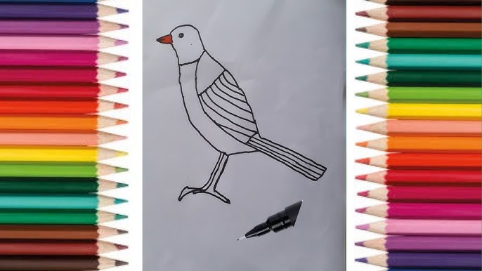 Outline drawing of bird to color, perfect for kids on Craiyon