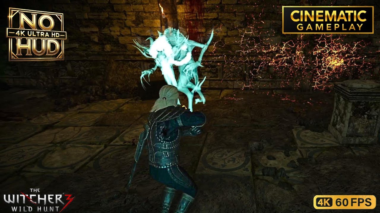The Witcher 3 Immersive 4K Boss Battle: Sarasti - No HUD gameplay 60 FPS