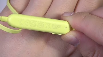 How to Check Serial Number on Beats Flex?