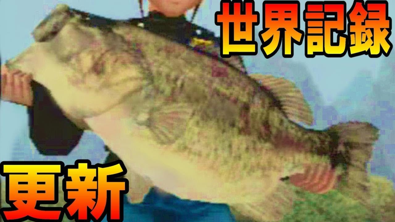 ベストブラックバス 世界記録 賞金 すべての魚の画像