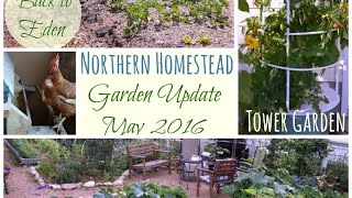 Frost Protection, Planting Times and Location - May Update (Back to Eden, Tower Garden, Hydroponics)