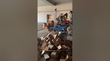 Stable automatic box top label applicator video labeler equipment packing video