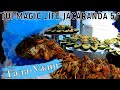 TUI MAGIC LIFE JACARANDA 5 *. Гала ужин Black&White Night. 4К - Видео