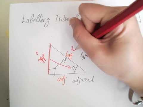 Labelling Angled Column Labelling Right angled Triangles - YouTube