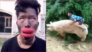 Best Funny Videos - Challenge Do Not Laugh 😆😂🤣 Best Funny Videos  - Try to Not Laugh 😆😂🤣#177