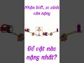Bé So Sánh Cân Nặng – Nhận Biết Nặng Hơn, Nhẹ Hơn | Bài Học Tư Duy Cho Trẻ Mầm Non