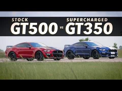 GT500 Mustang vs Supercharged GT350 Mustang | Roll Race Comparison