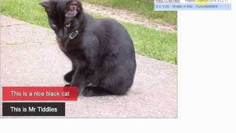 RepeatServer.com - Creating and using  Banner RSS feeds