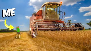 TREBBIATURA GRANO 2022