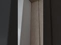 Could you sleep with this MSC Euribia cabin noise?  - (I couldn't)
