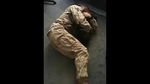 Dog hugging his Marine