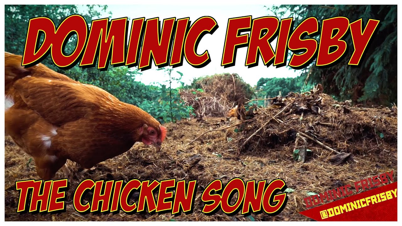 The Chicken Song  YouTube