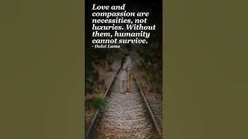 Life-Changing Quotes to Inspire Success, Growth & Mindset | Stephen King, Lao Tzu, Dalai Lama & More