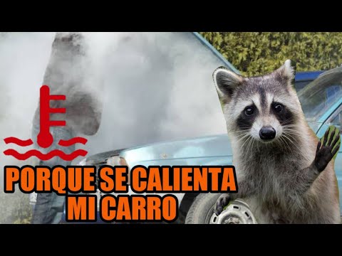 ¿Tu carro se calienta? | Antes de gastar en refacciones ¡MIRA ESTO