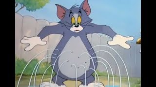 Том Джерри - Беда на свою голову - Том И Джерри Шоу Том Джерри - Беда на свою голову - Том И Джерри Шоу