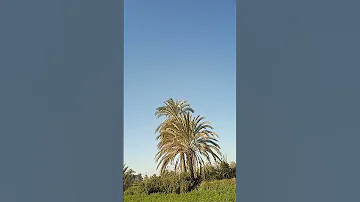 سبحان الذى خلق فسوى وقدرفهدى 