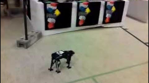 NXT-COYOTE quadruped LEGO autonomous walking robot at LFW Skærbæk 2009