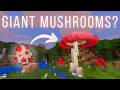5 Second Fancy Mushrooms | Giant Mushroom Spawn Egg | Vanilla Minecraft Command Creation