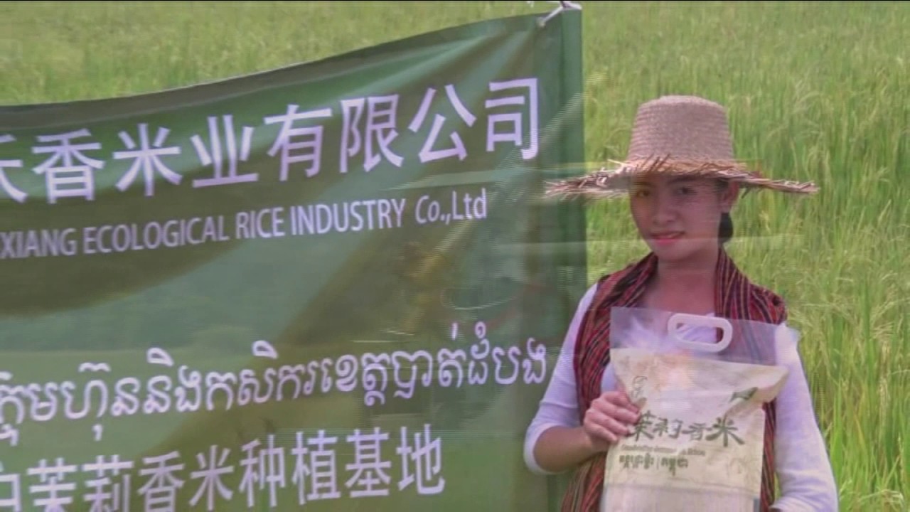 Golden Star Rice Mill - YouTube