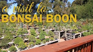 Visit to Boon's Bonsai Nursery