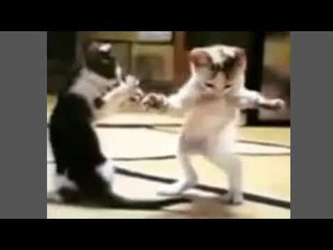 ندي حبيبه بابا ردي عليا يا ندي
