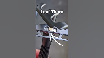 I Can’t Believe This Leaf Razor Hack Actually Works