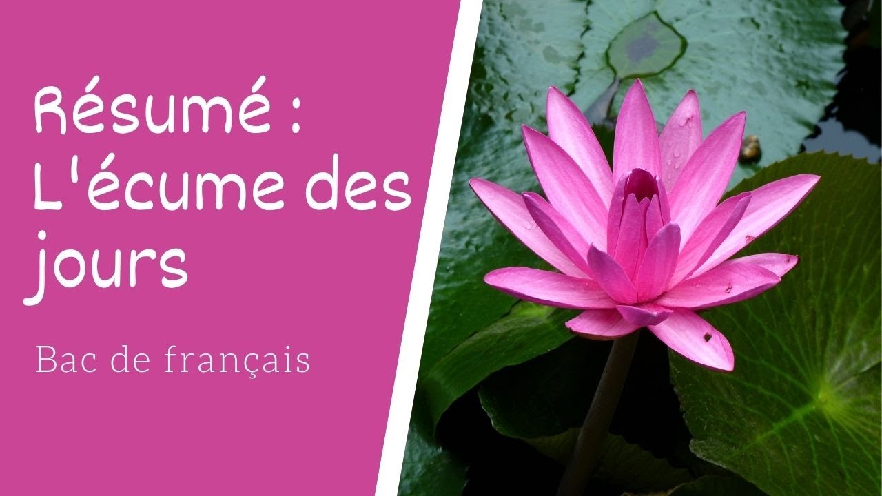 Résumé de L'écume des jours de Boris Vian YouTube Résumé de L'écume des jours de Boris Vian YouTube